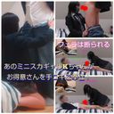 An H girl 〇 student who is held by a weakness and serves for 3 days, and an H girl 〇 student who is made to serve two other people's sticks and begs for at the end! Great value 2 people recorded! Large volume of 7 shots in total for 2 hours!