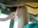 【個人攝影】 在SA接車的長途司機母親的奇聞趣事視頻
