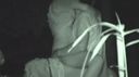 Park couple covert camera at night