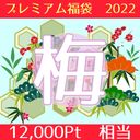 【梅】プレミアム福袋2022 -数量限定-【通常12,000pt相当】