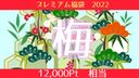 【梅】高級福袋 2022 -數量有限- [通常相當於 12，000pt]