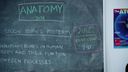 RealityJunkies - Anatomy Tutor Scene 3