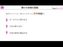 膣オーガズムの仕組み　膣の全体像を把握し、膣イキを徹底解説