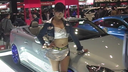염가 수량 한정 격 하이 레그 그레이스 퀸 체이스 360 엉덩이 가랑이 기능 캠페인 여자 특집