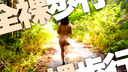 【Naked walking】Summer is just around the corner. Take a walk ♪ naked in the beautiful sunlight