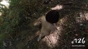 [Asumi-chan Neruura] #126 在森林裡裸體散步後自慰的女孩學生裸體行走/自慰/自拍