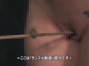 [Uncensored SM Collection 46] = Kobunawa Special Feature < BDSM Training Play Video Set of 6 / High Quality / Original Sensual Editing / Treasured Preservation Edition > =