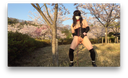 【Cross-dressing】Anabai 017 Exposed masturbation under the cherry blossoms because the cherry blossoms are in full bloom.