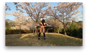 【Cross-dressing】Anabai 017 Exposed masturbation under the cherry blossoms because the cherry blossoms are in full bloom.