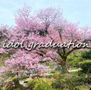 【IDOL Graduation】Graduated in Reiwa 5th year. Member of the rumored L(J)K idol group. The first step into adulthood. * 4K video over 1 hour