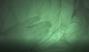 [個人拍攝] 我在 中注意到給一個熟睡的女孩戴綠帽子，但它是陰道射擊！