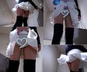 【Knee High Sister】Crotch Pack Pure White Panty Shot!!