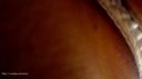【フェチ界Ｍ男】スレンダー女王様の顔面騎乗をウェアラブルカメラの目線動画で