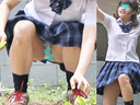 Schoolgirl Panty Shot Budding in the Park　