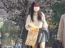 公園潘奇拉3 來賞櫻的頭髮穿孔的女孩