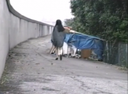 【Individual shooting】Shot by my husband! A shocking video of his wife charging naked into a homeless tent