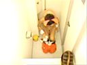 バニーガール洋式トイレ盗● RKS-002