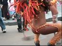 Samba Carnival is 13