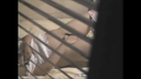 Masturbation peeping 1