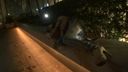[業餘視頻] 一個喝多了半夜睡在街上的女人在拍攝時被帶回家生松鼠