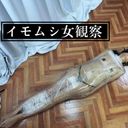 ラップ**のイモムシ女観察　Observation of a caterpillar woman restrained by a wrap