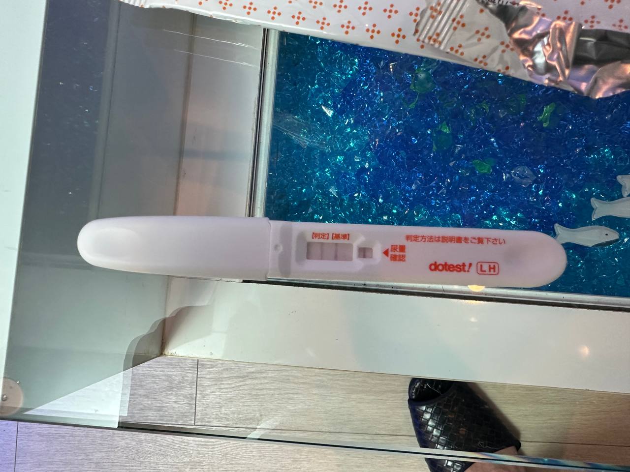 レオちゃんガチ妊活＃６ gallery photo 3