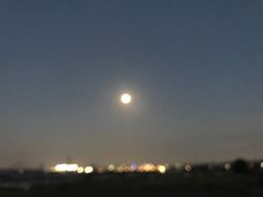 【天体動画】月（ＭＯＯＮ）
