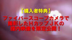 《特典有》【電車チカン】★襟なし制服の高偏差値私立校女子がロケットHカップだったのでホテルで揉みまくりパイズリ三昧＆尻穴舐め掃除