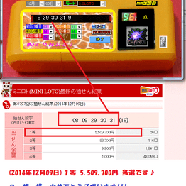 12/9 1等 [的中LOTOチェッカーアニマルFACE] ロト予想ソフト FC2-PPV-177072