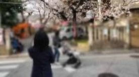 【個撮】普通文学少女②花見の後パンツを脱ぎそのままホテルでハメ撮り 【個撮】普通文学少女②花見の後パンツを脱ぎそのままホテルでハメ撮り
