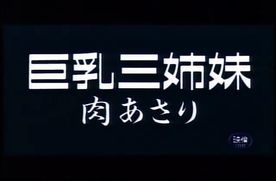 9916　巨乳三**　肉あさり