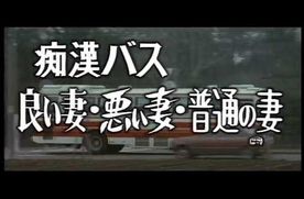 SVP-34　**バス　良い妻・悪い妻・普通の妻