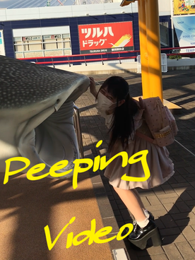 （再）ミニ**①