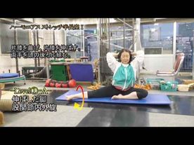 ﾊｰﾓﾆｱｽ ｽﾄﾚｯﾁ半長座Ⅰ(Y231120UP)