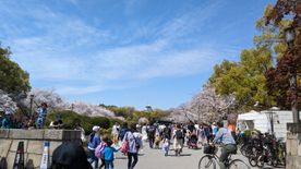 2023年の川沿い3