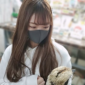 FC2 PPV 1794863 個数限定【無修正】カフェで出会った可憐なJDに中出し（前編）