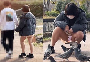 FC2 PPV 2798860 幼さの残る女子のパンツと飛び立つ鳩。イチャつくカップルの餌やり一部始終【パンチラ〇撮】