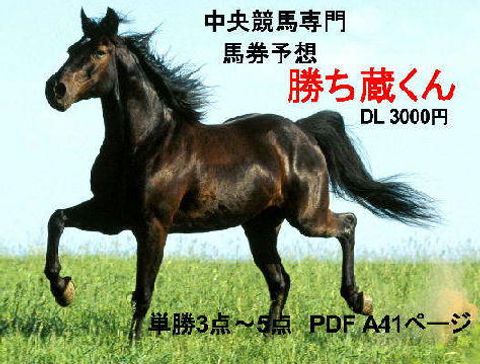 ■競馬予想「勝ち蔵くん」