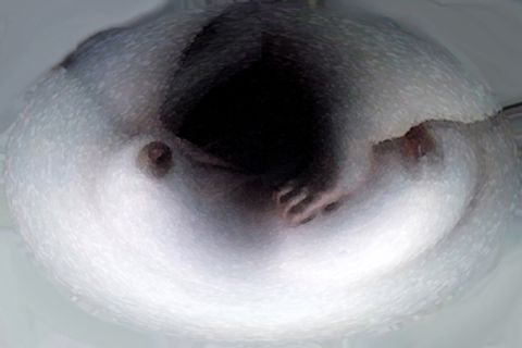 加工画像