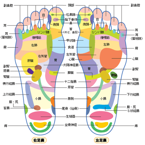誰でもできる簡単★足ツボマッサージ1/3