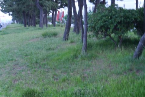ロイヤリティーフリー写真素材集①