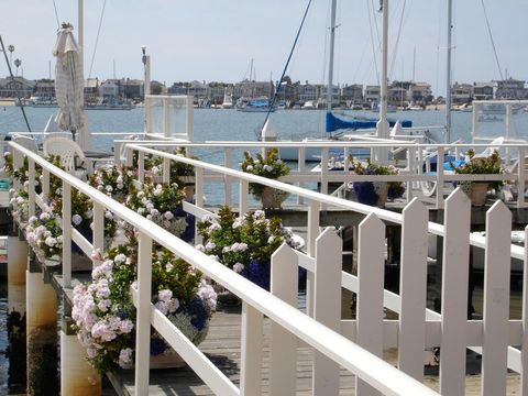 カリフォルニア ビーチエリア周辺 (Newport Beach)