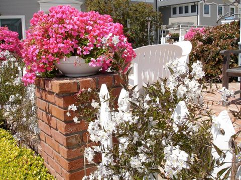 カリフォルニア ビーチエリア周辺 (Newport Beach)