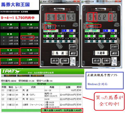 『 競馬ソフト 馬券大和王国 』