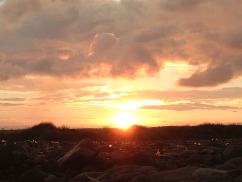 夕日