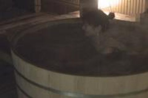 ホン物とうさつ！！　温泉旅館の貸し切り露天風呂でＳＥＸしているカップルたちを****！！　バレたらヤバいけど無断で流しゅつさせちゃいます！！　素人カップル３組