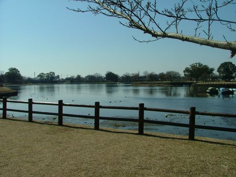 画像集　長崎ランタンフェスティバル　熊本