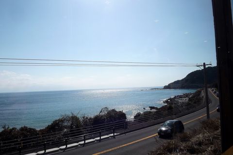 画像集　宮崎キャンプ