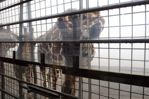 画像集　宮崎キャンプ