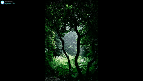 【睡眠用BGM・環境音】　- 　雨音　/　BGM and Environmental Sounds for ***** - Rain Sound